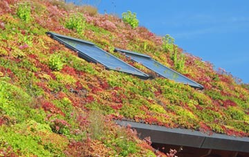 Hooley Brow living roof systems